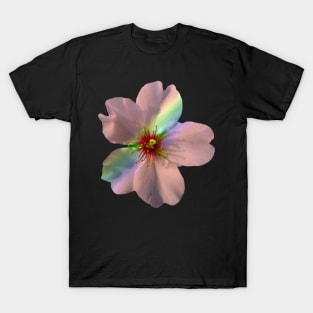 coral flower, pastel, nature, bloom, rainbow T-Shirt